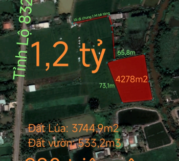 Bán gấp lô đất lúa xã Nhựt Ninh giá 1,2 tỷ