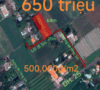 Bán lô lúa không dính quy hoạch hạ giá còn 650 triệu