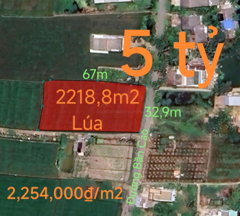 Bán lô đất lúa làm kho xưởng gần Quốc Lộ 50B giá 5 tỷ
