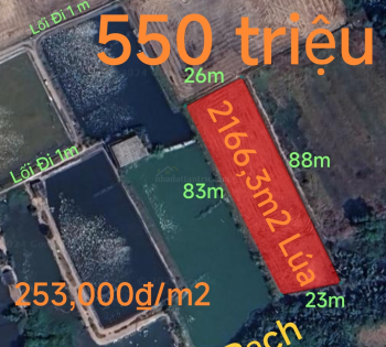 Bán gấp lô đất lúa gần Quốc Lộ 50B hạ giá 550 triệu