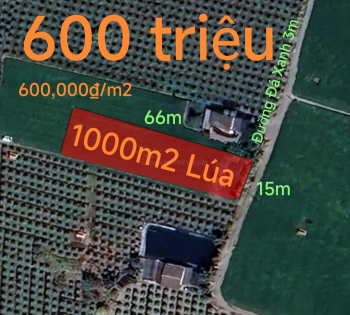Bán lô đất lúa gần quốc lộ 50 B giá 600 triệu