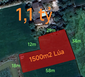 Bán gấp lô đất lúa vị trí trung tâm giá 1,1 tỷ
