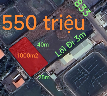 Bán gấp lô lúa xã Nhựt Ninh giá 550 triệu