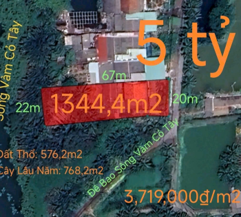 Bán lô đất thổ vườn mặt tiền đê bao hạ giá 5 tỷ