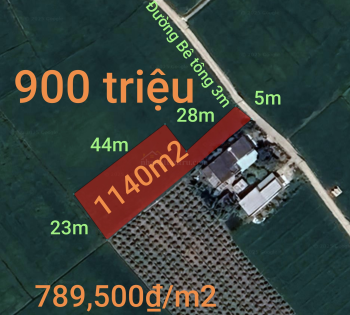 Bán lô đất thổ lúa giá rẻ gần quốc lộ 50B giá 900 triệu