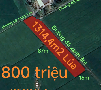 Bán gấp lô đất lúa hai mặt tiền xã Đức Tân giá 800 triệu 